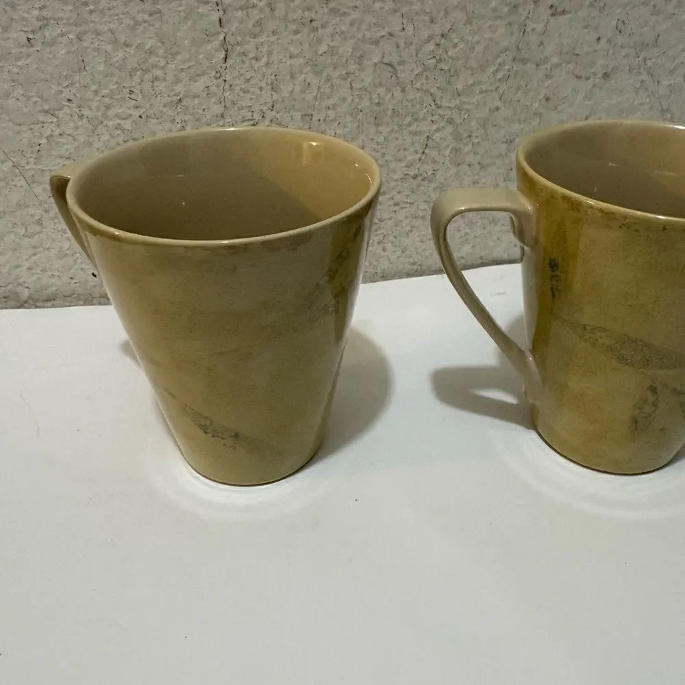 Pier one Antiqued mugs set of two